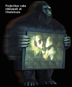 Cineleisure.gif (29980 bytes)